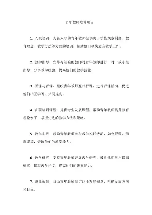 青年教师培养项目