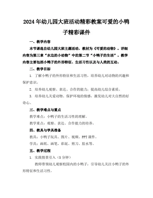 2024年幼儿园大班活动精彩教案可爱的小鸭子精彩课件