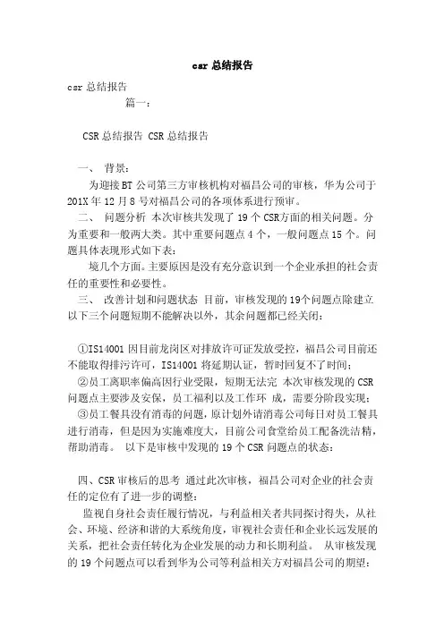 csr总结报告