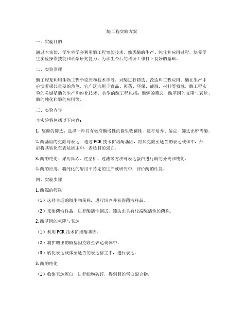 酶工程实验方案