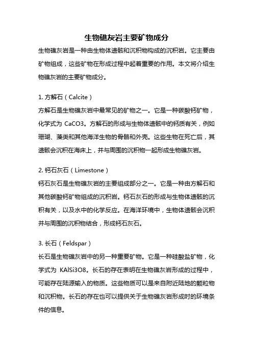 生物礁灰岩主要矿物成分