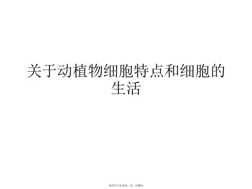 动植物细胞特点和细胞的生活课件