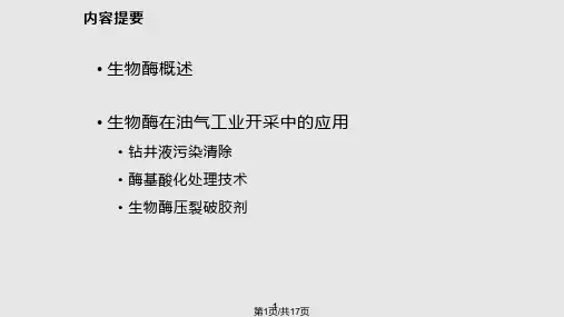 油气田开发新技术PPT课件