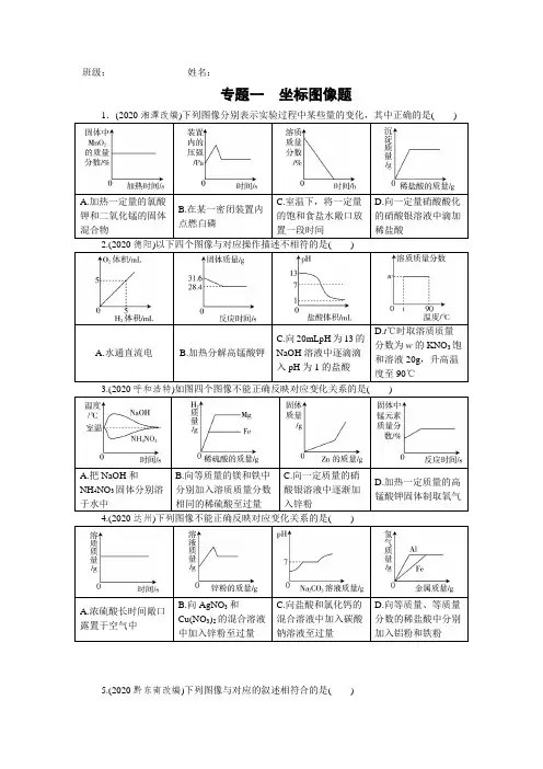广东省九年级化学总复习专题一 坐标图像题