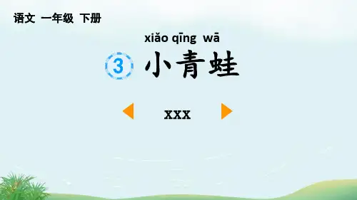 《小青蛙》PPT优秀课件