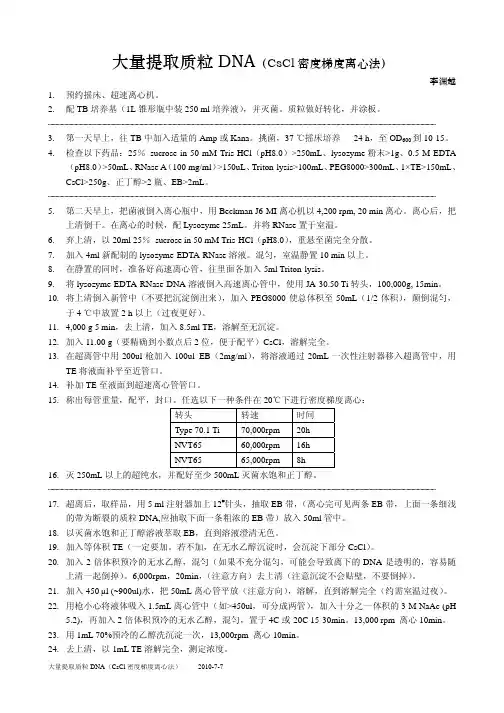 大量提取质粒DNA(CsCl密度梯度离心法)