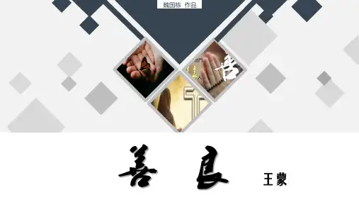 王蒙《善良》精品课件
