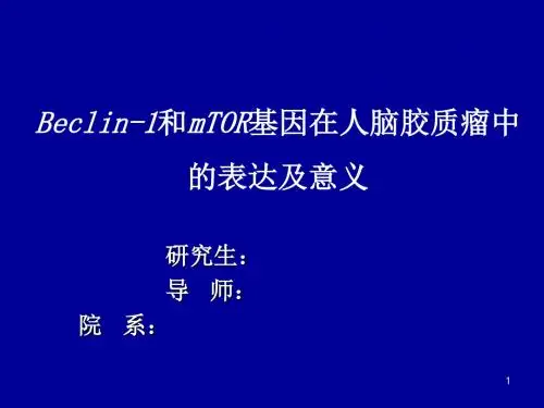 Beclin-1和mTOR基因在人脑胶质瘤中的表达及意义