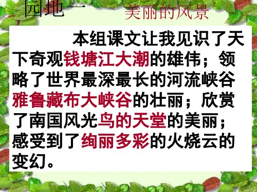 四年级上册语文资料袋早读午读使用