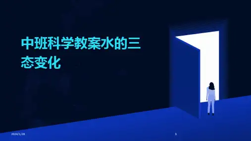 2024版中班科学教案水的三态变化