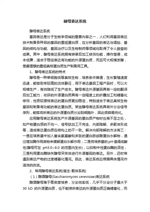酵母表达系统