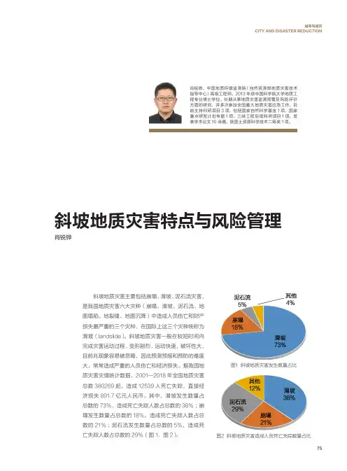 斜坡地质灾害特点与风险管理