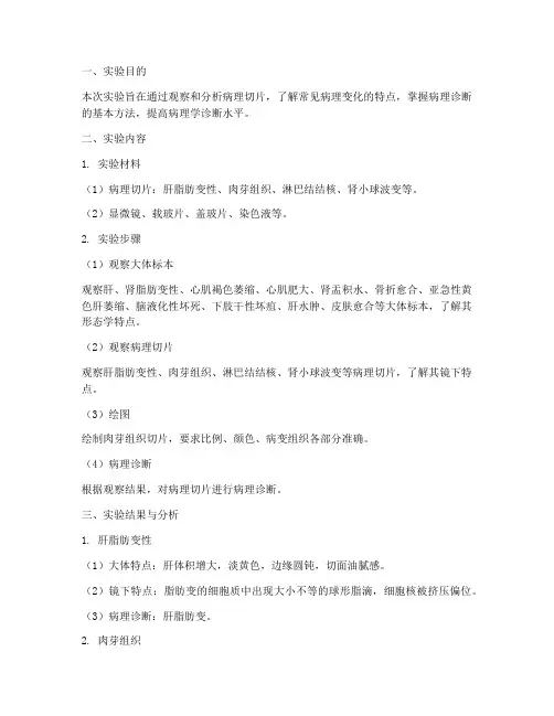 病理分析实验报告