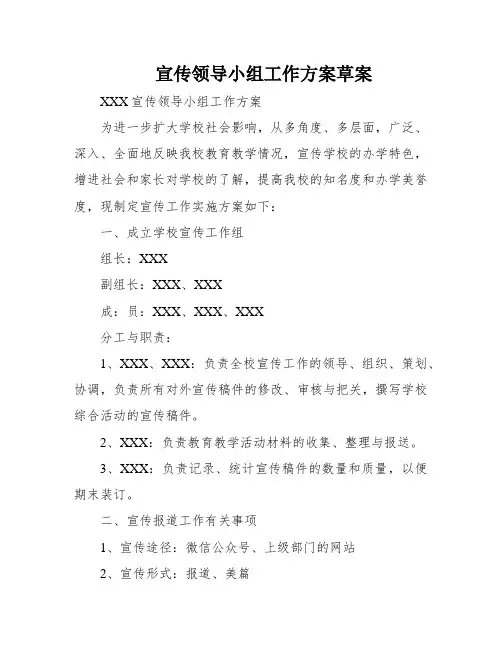 宣传领导小组工作方案草案