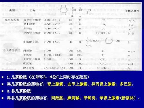 肾上腺素受体药PPT课件电子教案