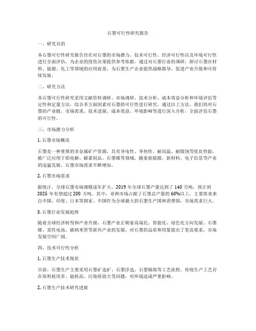 石墨可行性研究报告