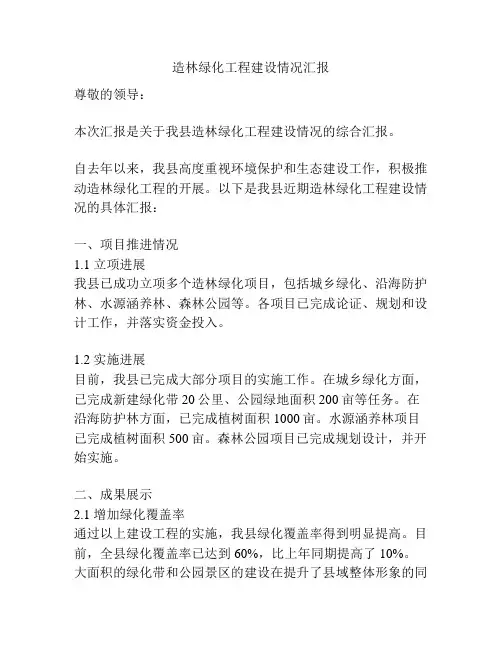 造林绿化工程建设情况汇报