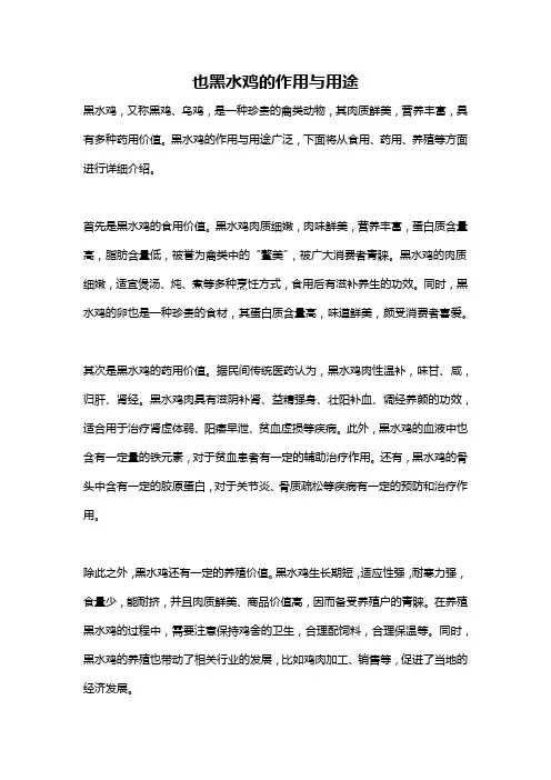 也黑水鸡的作用与用途