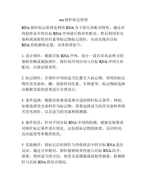 rna探针标记原理