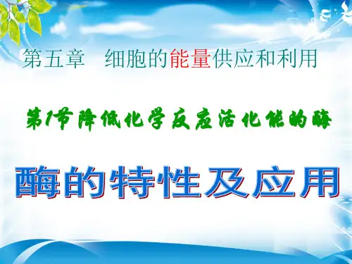 人教版高中生物必修1 5.1高三复习《降低化学反应活化能的酶》优秀课件(共27张PPT)[优秀课件资料]