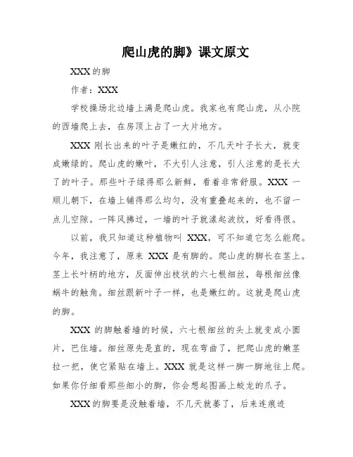 爬山虎的脚》课文原文