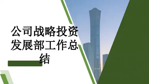公司战略投资发展部工作总结