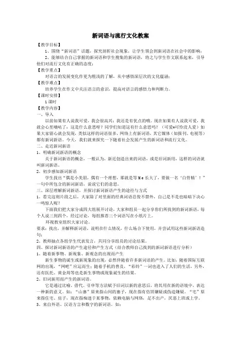 新词新语与流行文化教案