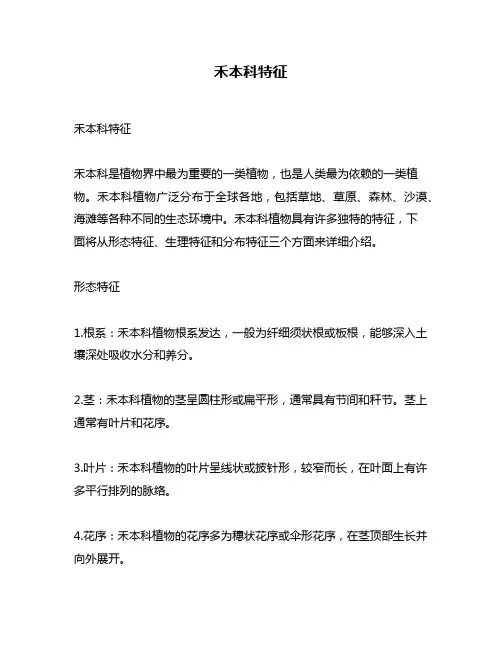 禾本科特征