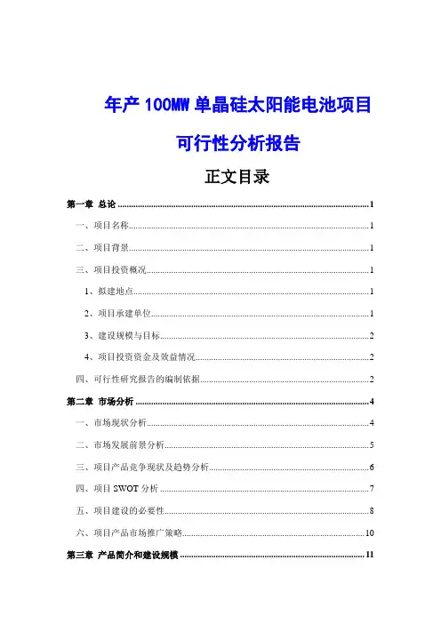 年产100MW单晶硅太阳能电池项目可行性分析报告