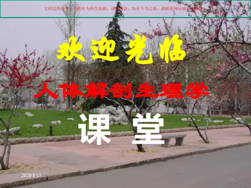 人体解剖学概述专业知识培训课件