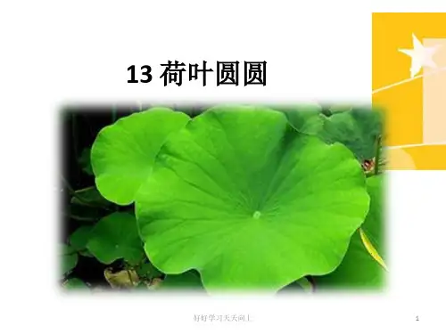 部编版二年级语文下册《荷叶圆圆》PPT课件