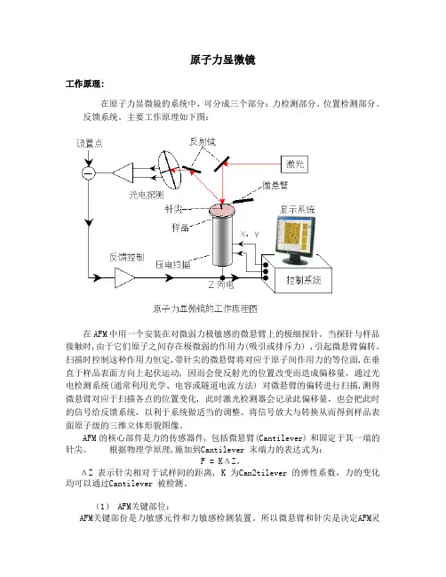原子力显微镜工作原理、步骤、注意事项