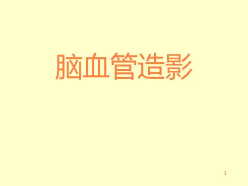 脑血管造影讲座PPT课件