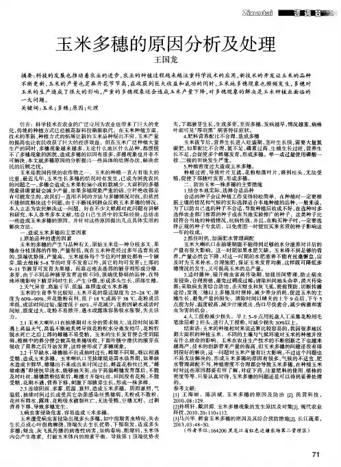 玉米多穗的原因分析及处理