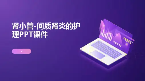 肾小管PPT课件