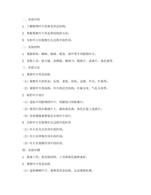 植物的叶_实验报告