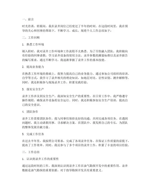 录井个人工作总结范本