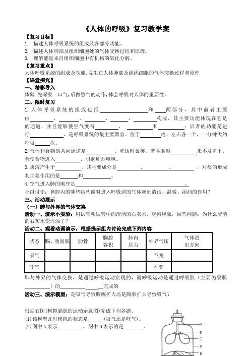人体的呼吸 复习教学案