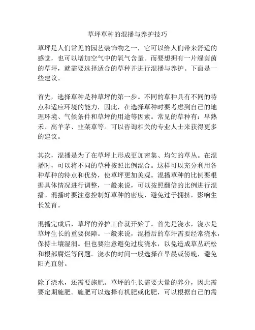 草坪草种的混播与养护技巧
