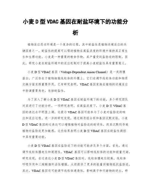 小麦D型VDAC基因在耐盐环境下的功能分析