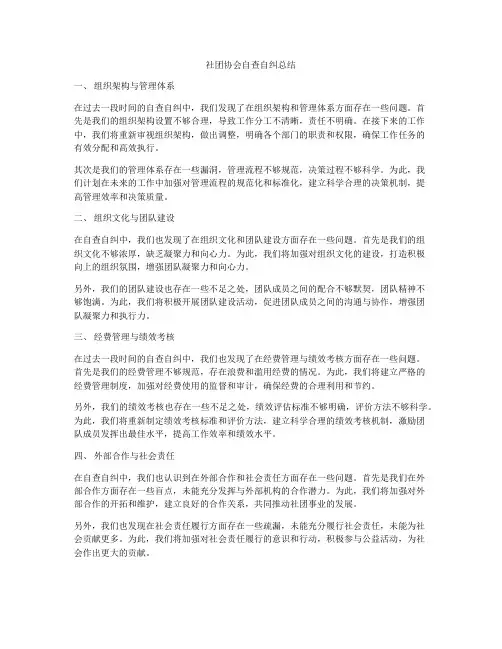 社团协会自查自纠总结