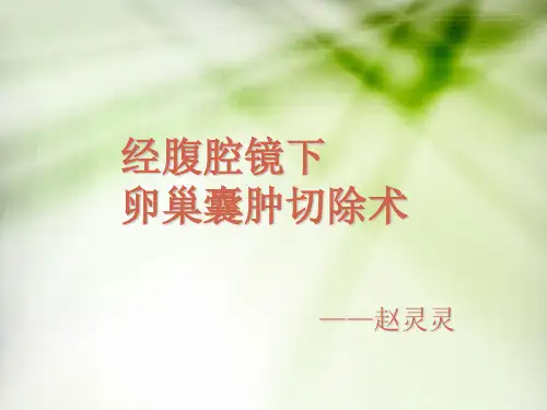 手术室腹腔镜下卵巢囊肿切除护理查房讲课稿