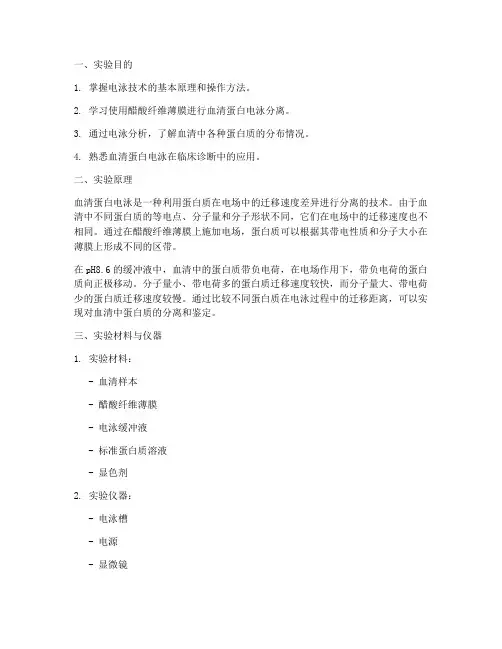 血清蛋白电泳实验报告
