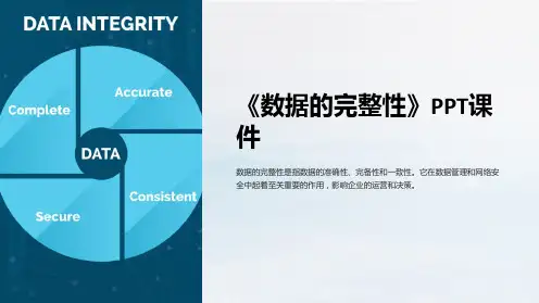 《数据的完整性》课件
