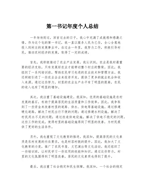 第一书记年度个人总结
