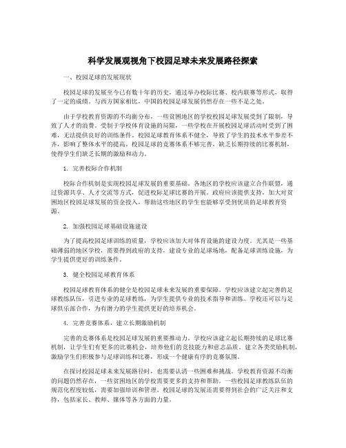 科学发展观视角下校园足球未来发展路径探索