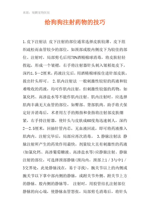 给狗狗注射药物的技巧