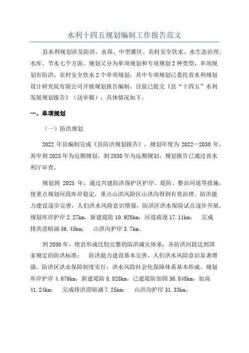水利十四五规划编制工作报告范文