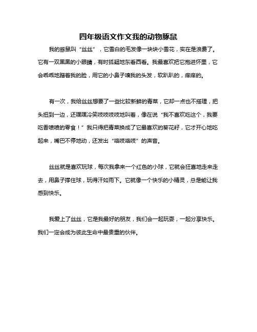 四年级语文作文我的动物豚鼠