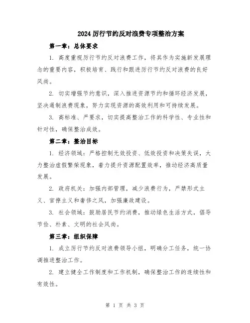 2024厉行节约反对浪费专项整治方案